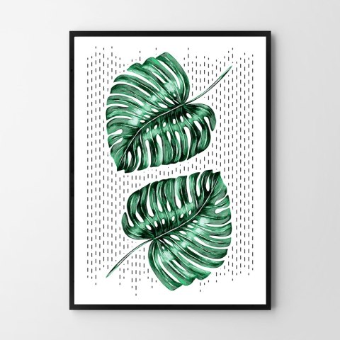 Plakat MONSTERA LIŚCIE zielony