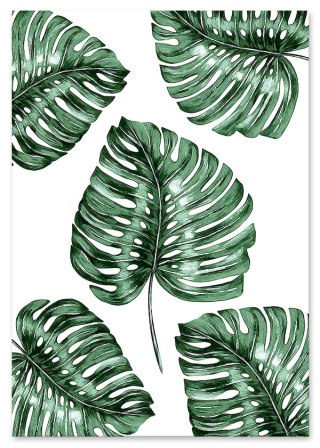 Plakat MONSTERA PATTERN zielony