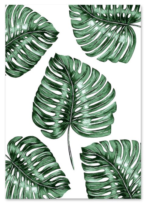 Plakat MONSTERA PATTERN zielony