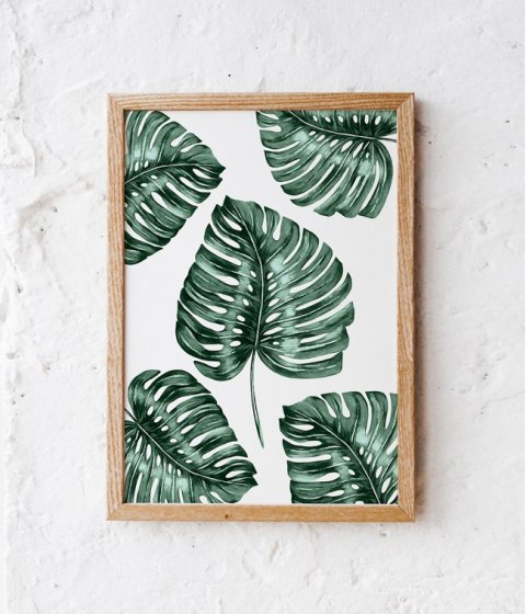 Plakat MONSTERA PATTERN zielony