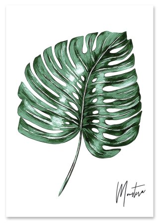 Plakat MONSTERA PODPIS zielony