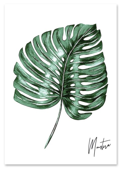 Plakat MONSTERA PODPIS zielony