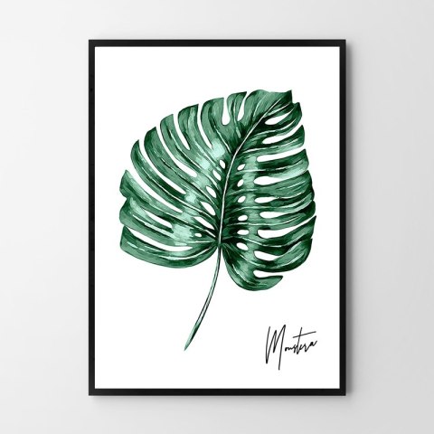 Plakat MONSTERA PODPIS zielony