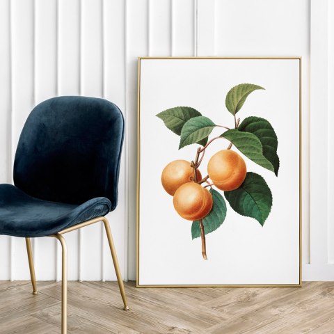 Plakat MORELA VINTAGE w kolorze