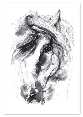 Plakat OBRAZ KOŃ szkic czarno biały