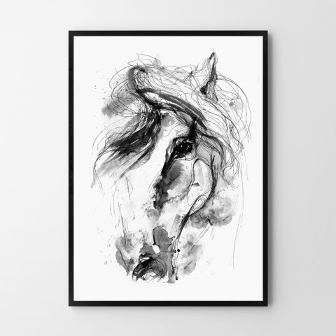 Plakat OBRAZ KOŃ szkic czarno biały