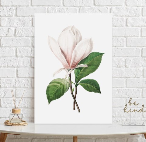 Plakat kwiat MAGNOLIA RETRO VINTAGE kolor