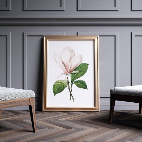 Plakat kwiat MAGNOLIA RETRO VINTAGE kolor