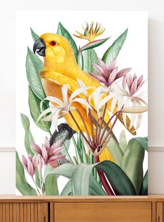 Plakat PAPUGA W EGZOTYCZNYCH KWIATACH kolor