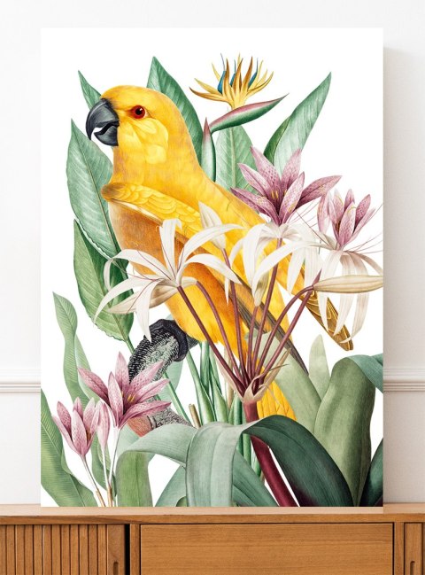 Plakat PAPUGA W EGZOTYCZNYCH KWIATACH kolor