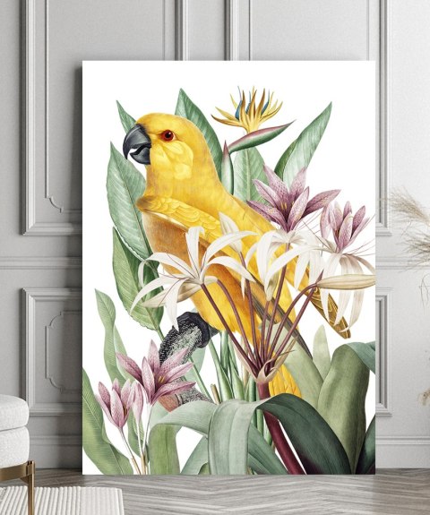 Plakat PAPUGA W EGZOTYCZNYCH KWIATACH kolor