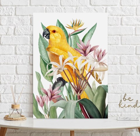 Plakat PAPUGA W EGZOTYCZNYCH KWIATACH kolor