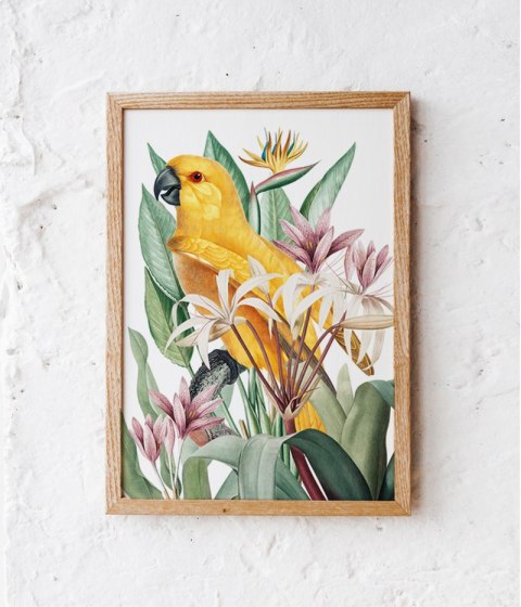 Plakat PAPUGA W EGZOTYCZNYCH KWIATACH kolor