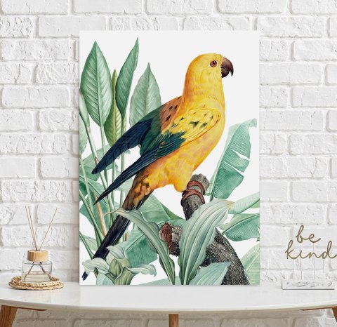 Plakat PAPUGA ZŁOTA rośliny egzotyczne kolor