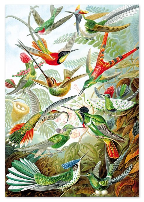 Plakat RAJSKIE PTAKI KOMPOZYCJA kolorowy