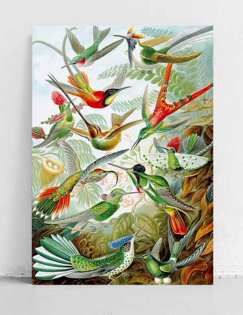 Plakat RAJSKIE PTAKI KOMPOZYCJA kolorowy