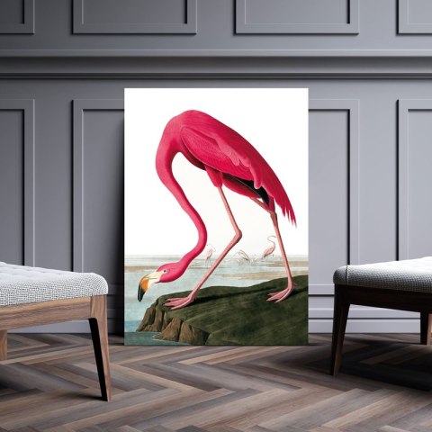 Plakat RÓŻOWY FLAMING VINTAGE kolorowy