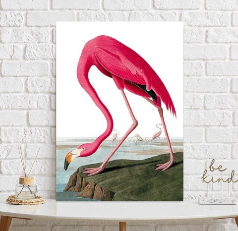 Plakat RÓŻOWY FLAMING VINTAGE kolorowy