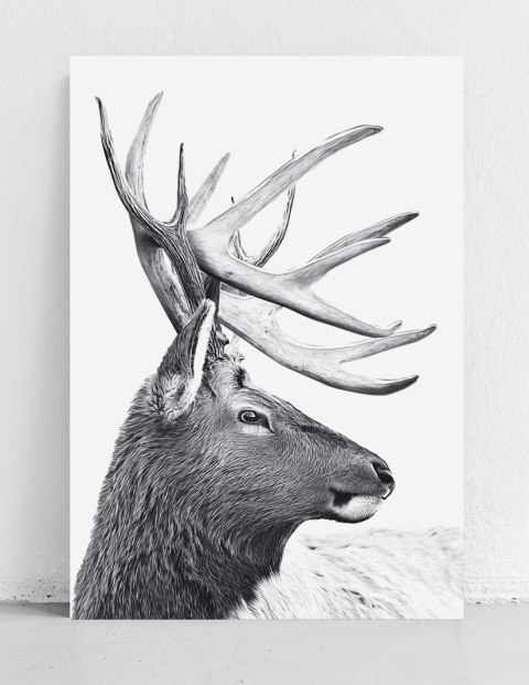 Plakat SKANDYNAWSKI JELEŃ czarno biały