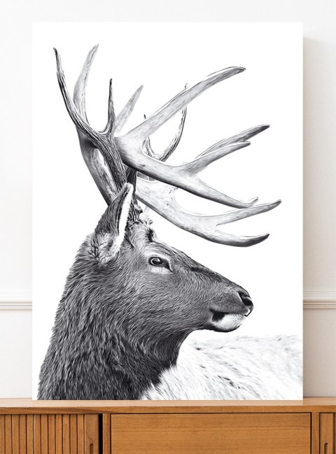 Plakat SKANDYNAWSKI JELEŃ czarno biały
