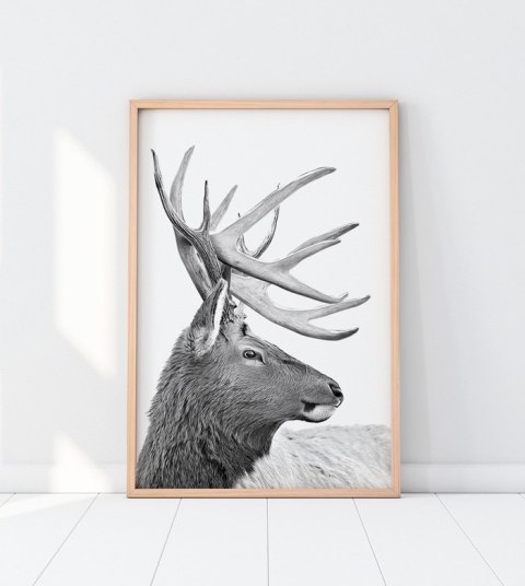 Plakat SKANDYNAWSKI JELEŃ czarno biały