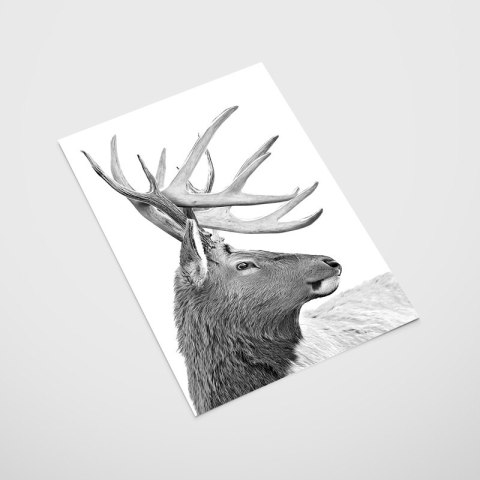 Plakat SKANDYNAWSKI JELEŃ czarno biały