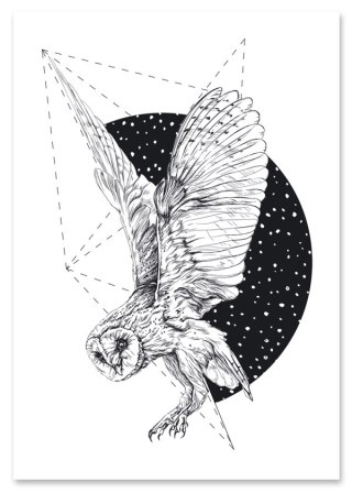 Plakat SOWA KSIĘŻYC czarno biały