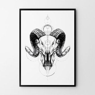 Plakat SZKIC CZASZKA GEOMETRIA czarno biały