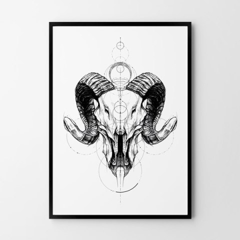 Plakat SZKIC CZASZKA GEOMETRIA czarno biały