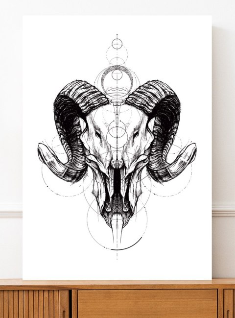 Plakat SZKIC CZASZKA GEOMETRIA czarno biały