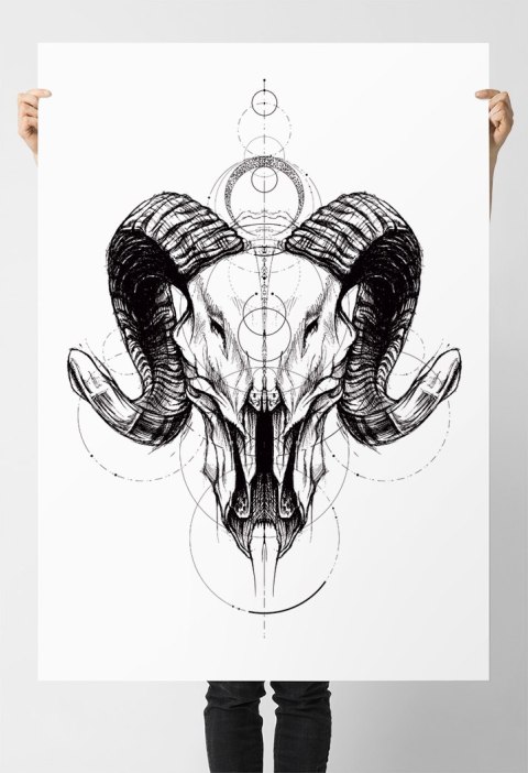 Plakat SZKIC CZASZKA GEOMETRIA czarno biały