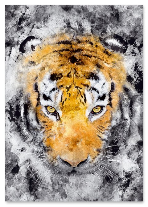 Plakat TYGRYS ABSTRAKCJA pomarańczowo czarny