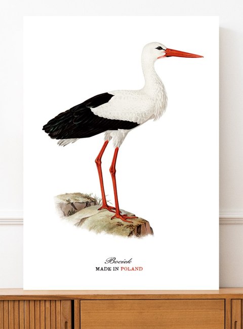 Plakat polski bocian vintage