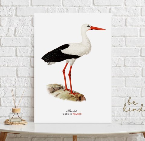 Plakat polski bocian vintage