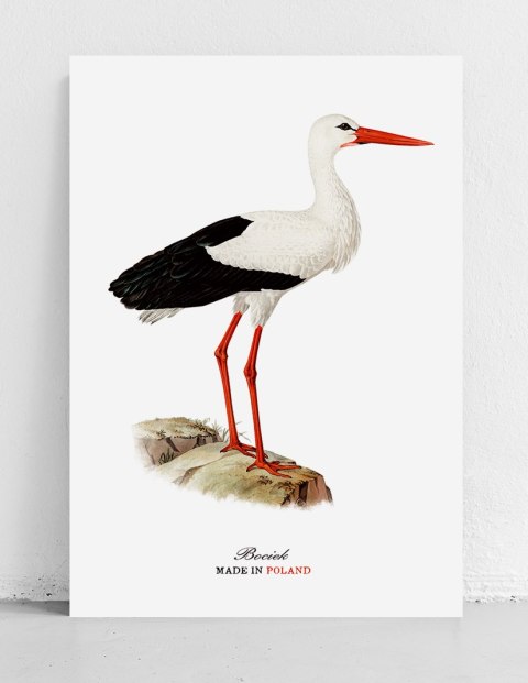Plakat polski bocian vintage