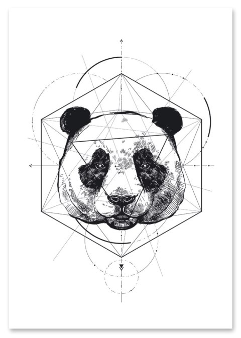 Plakat portret PANDA GEOMETRIA czarno biały