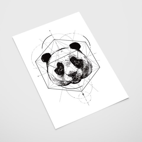 Plakat portret PANDA GEOMETRIA czarno biały