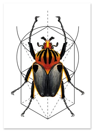 Plakat robak owad geometria