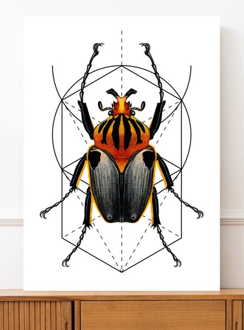 Plakat robak owad geometria