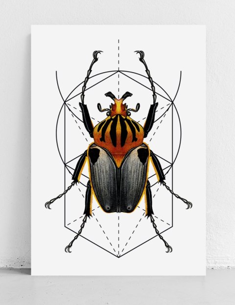 Plakat robak owad geometria