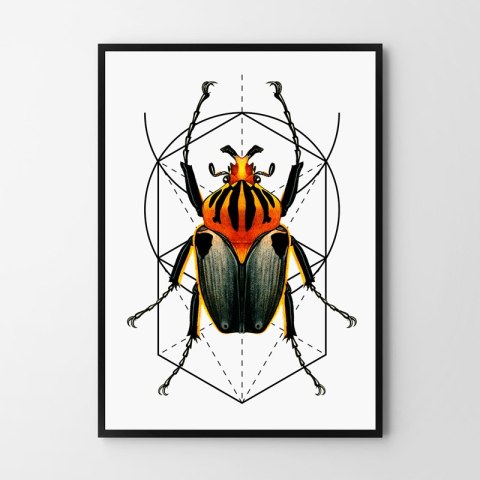 Plakat robak owad geometria