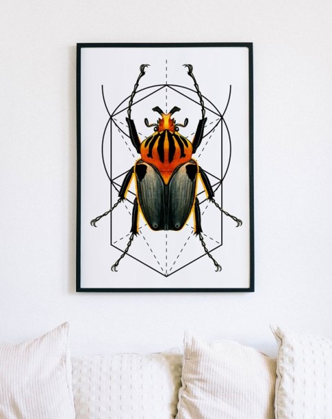 Plakat robak owad geometria