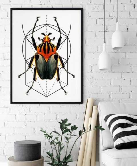 Plakat robak owad geometria