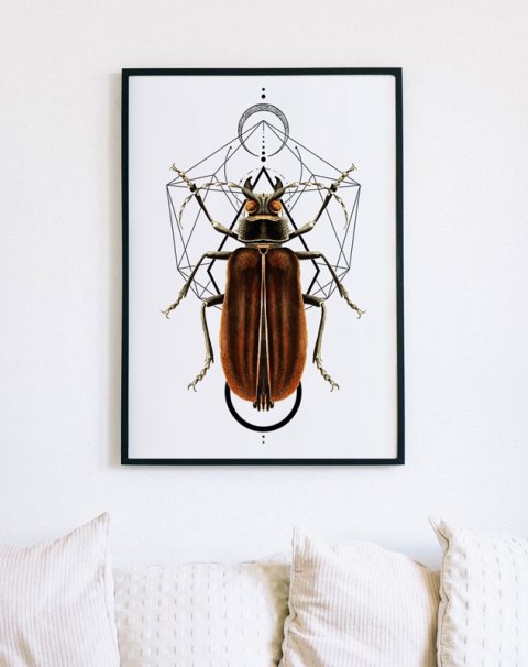 Plakat robaki owady geometria