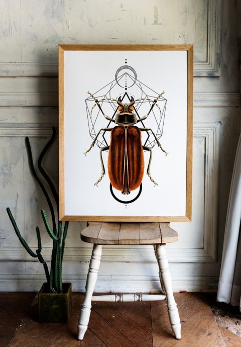 Plakat robaki owady geometria