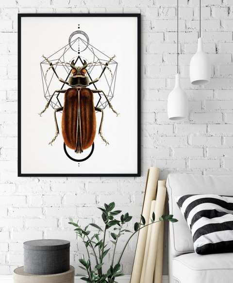 Plakat robaki owady geometria
