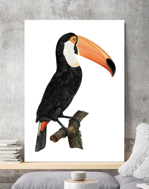 Plakat tukan ptak vintage