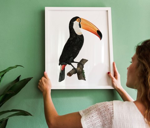 Plakat tukan ptak vintage