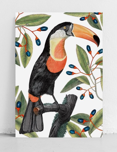 Plakat tukan w liściach