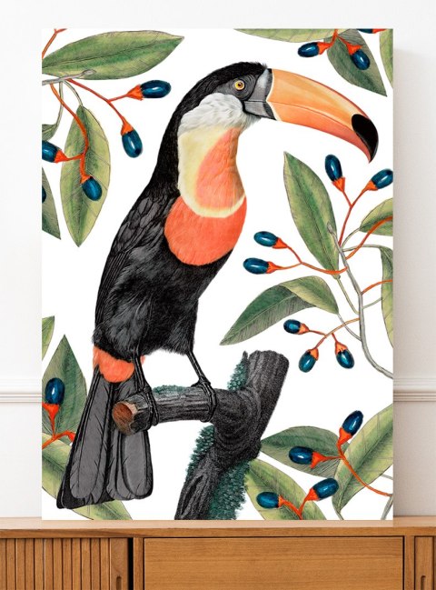 Plakat tukan w liściach